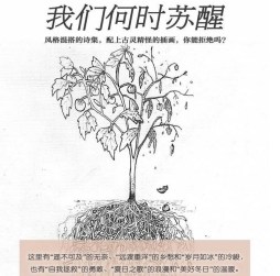 Screen Shot 2017-02-15 at 12.01.14 PM